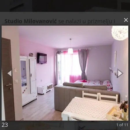 公寓式酒店 Smestaj Milovanovic