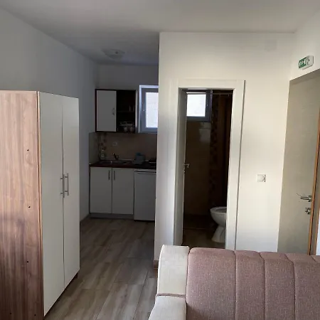 Smestaj Milovanovic 公寓式酒店 索科矿泉村