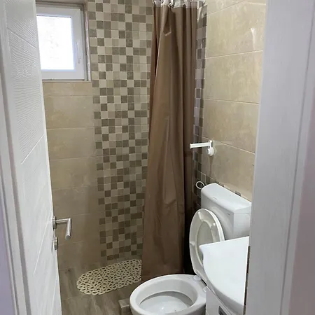 Smestaj Milovanovic 索科矿泉村