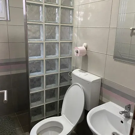 公寓式酒店 Smestaj Milovanovic