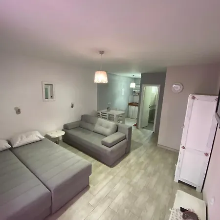 Smestaj Milovanovic 4* 索科矿泉村